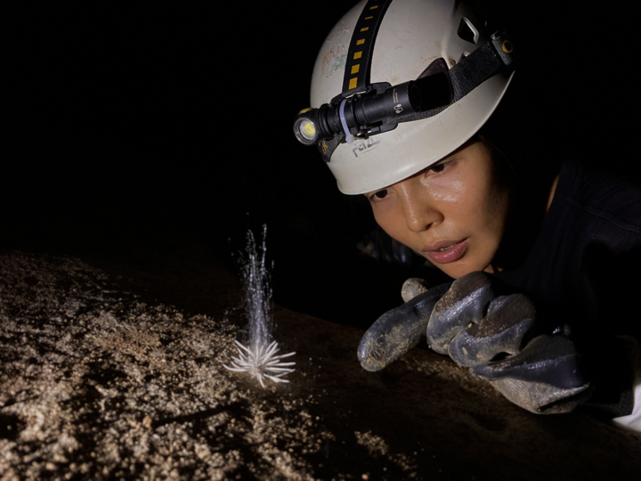Phát hiện sinh vật lạ trong hang động ở Phong NhaF8BET