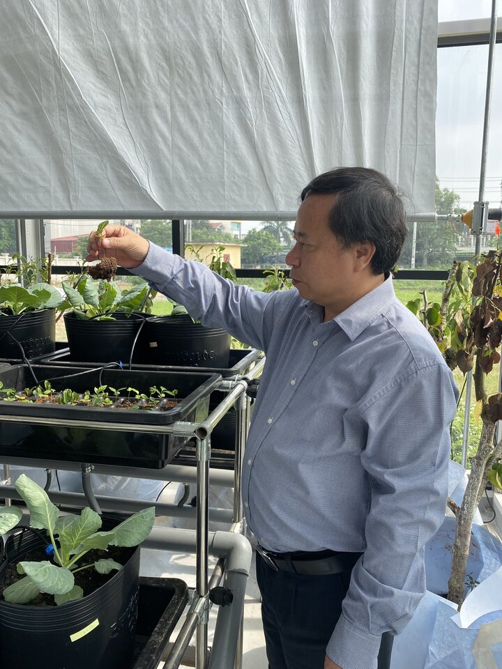 Nhà điều hòa sinh trưởng thực vật - giải pháp tiềm năng với cây ăn quả-F8BET  phát thành công khuyến mãi hàng tháng