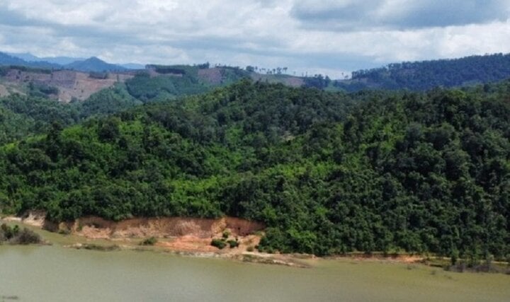 Đắk Lắk thanh tra vụ hơn 7.300ha rừng tự nhiên bị suy giảm-Dịch Vụ Điều Hướng 789BET